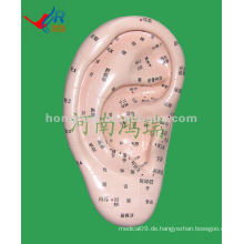 HR-514A lebendiges Ohrmassager-Modell (17 cm), Akupunktur-Ohr-Massagegerät